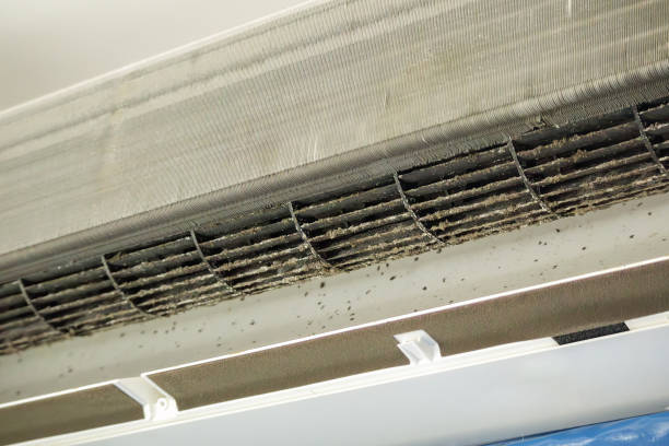 Best Emergency Air Duct Cleaning  in Gastonville, PA